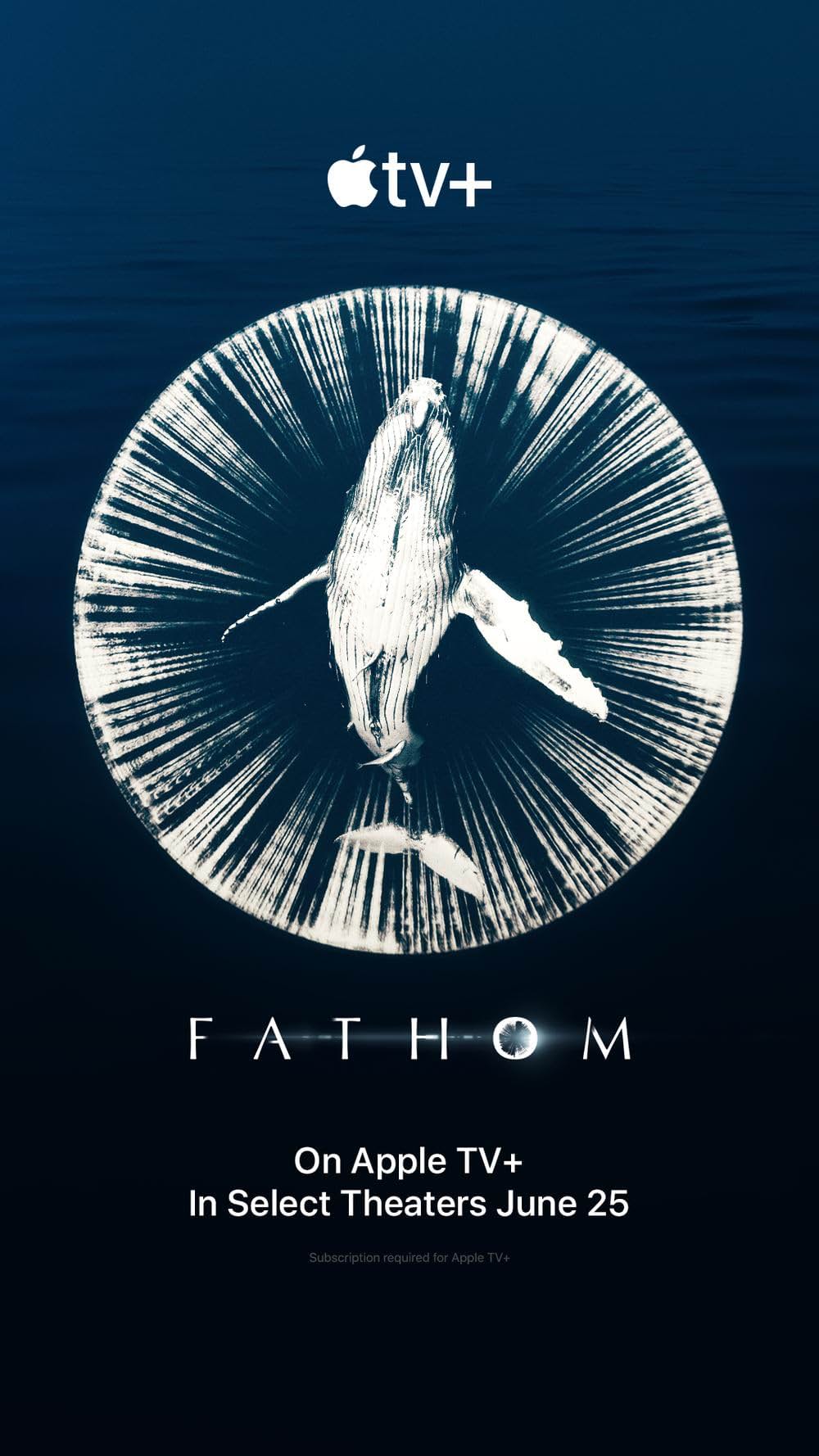 「ファゾム 海に響く音」の画像