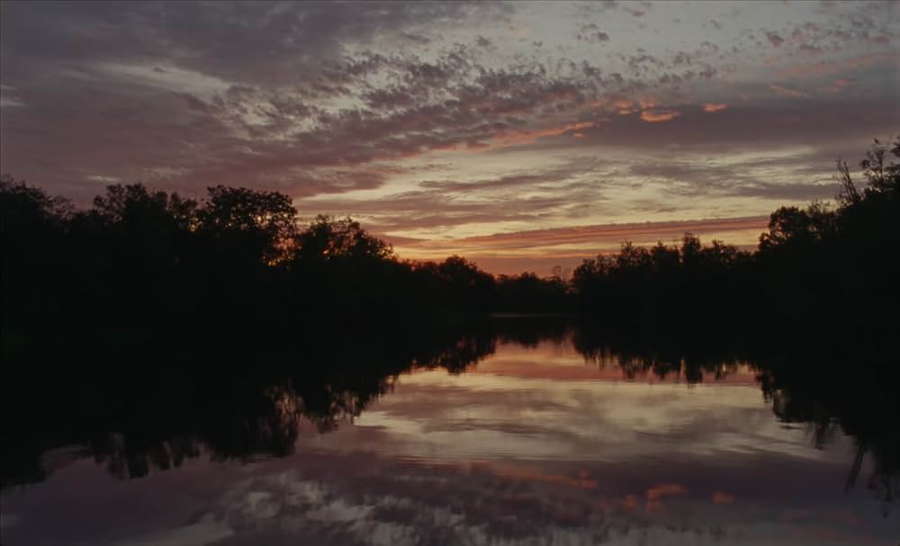 ブルー・バイユーの画像