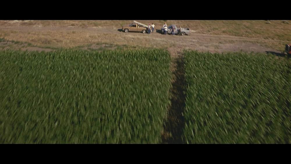 未来警察の画像