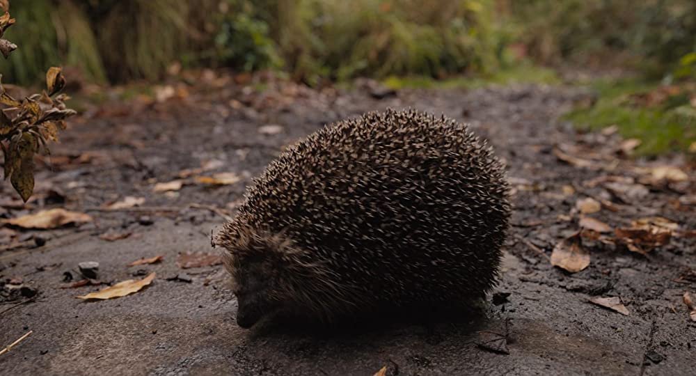 ロックダウンの画像