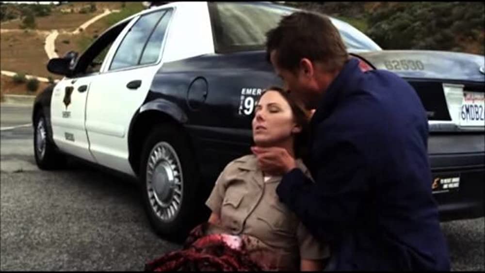 ビーチ・シャークの画像