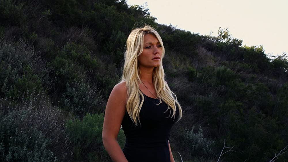 ビーチ・シャークの画像