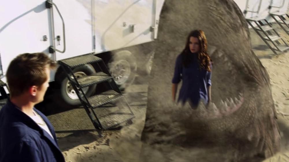 ビーチ・シャークの画像