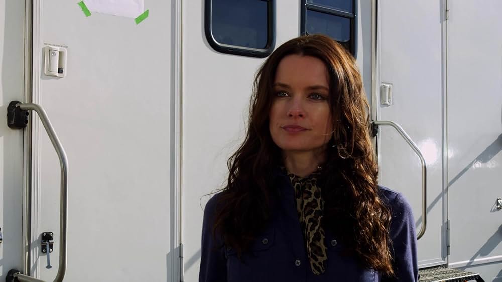 ビーチ・シャークの画像