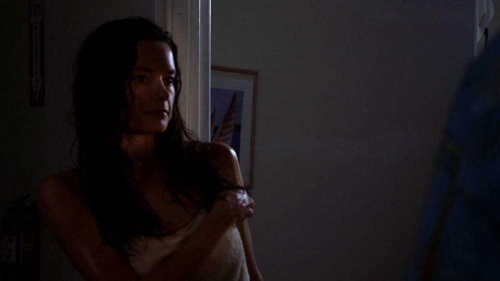 ビーチ・シャークの画像