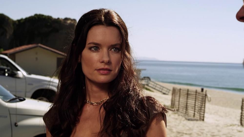 ビーチ・シャークの画像