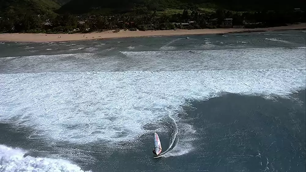 海 生命を育てるナチュラル・ビューティーの画像