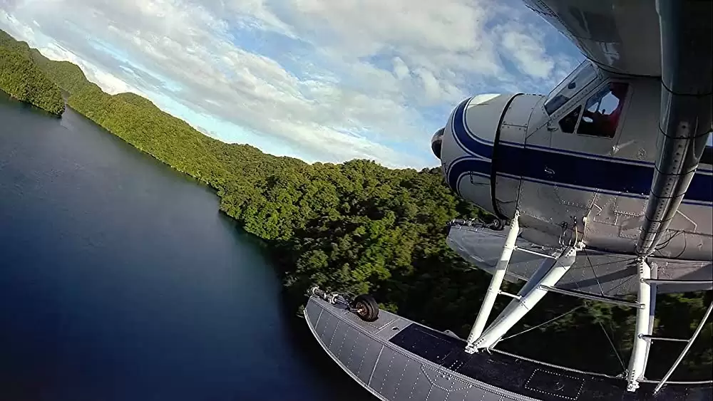 海 生命を育てるナチュラル・ビューティーの画像