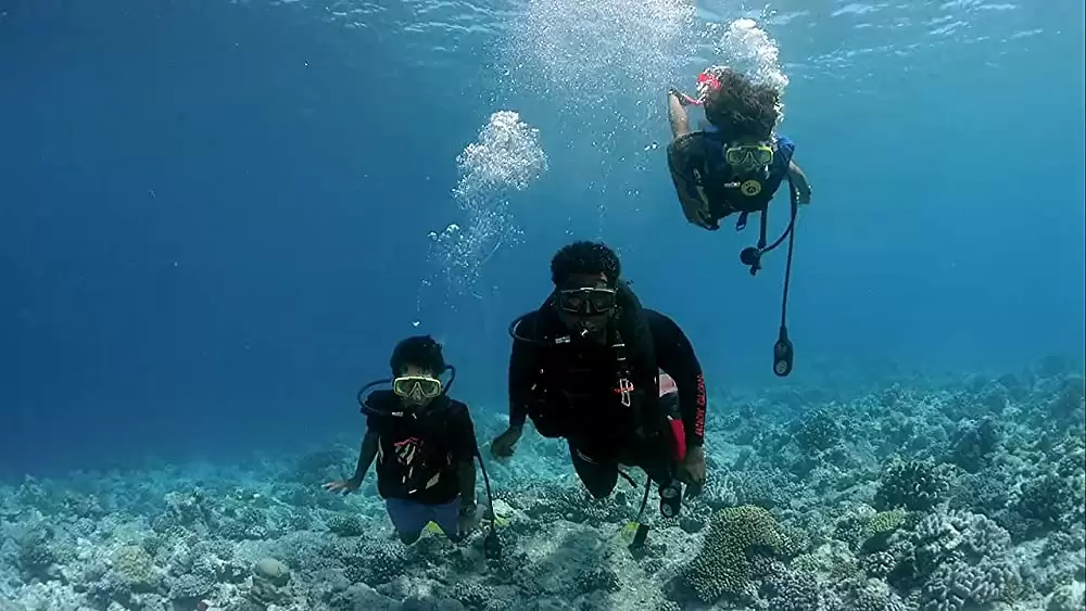 海 生命を育てるナチュラル・ビューティーの画像