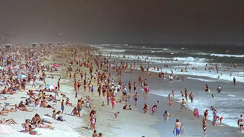 海 生命を育てるナチュラル・ビューティーの画像