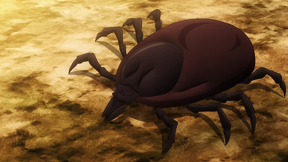 巨蟲列島の画像