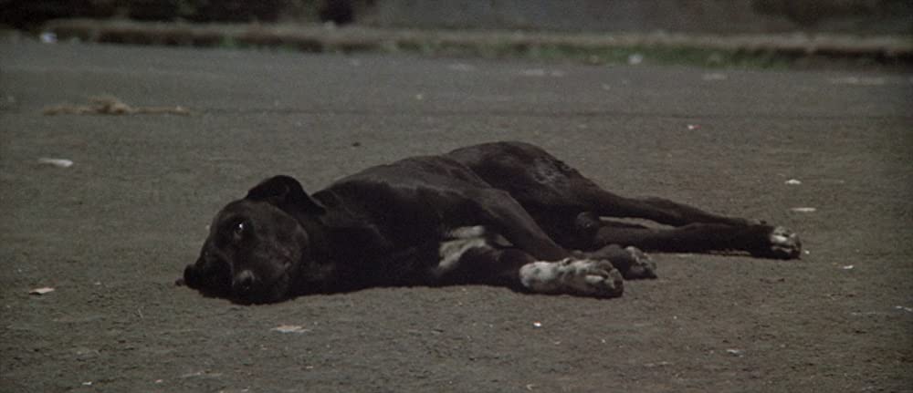 ロング・グッドバイの画像