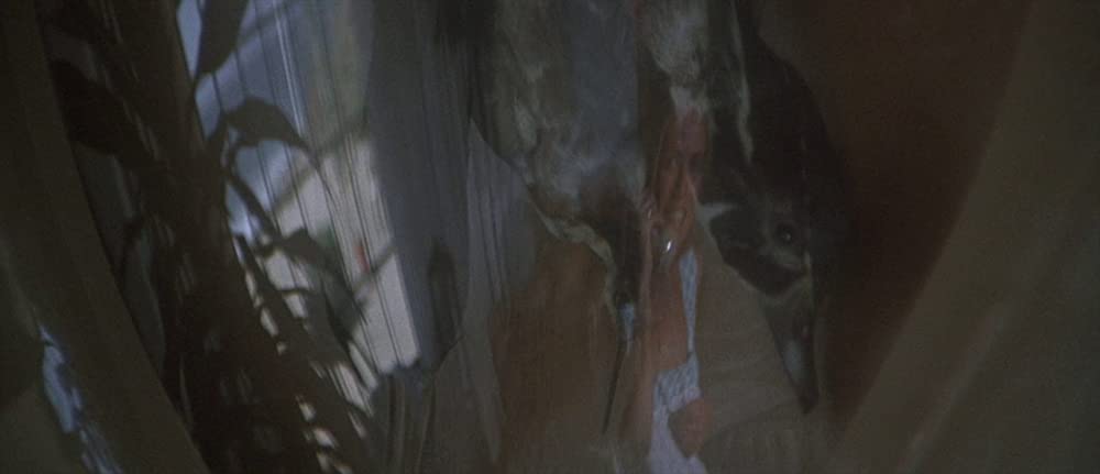 ロング・グッドバイの画像