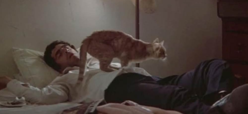 ロング・グッドバイの画像