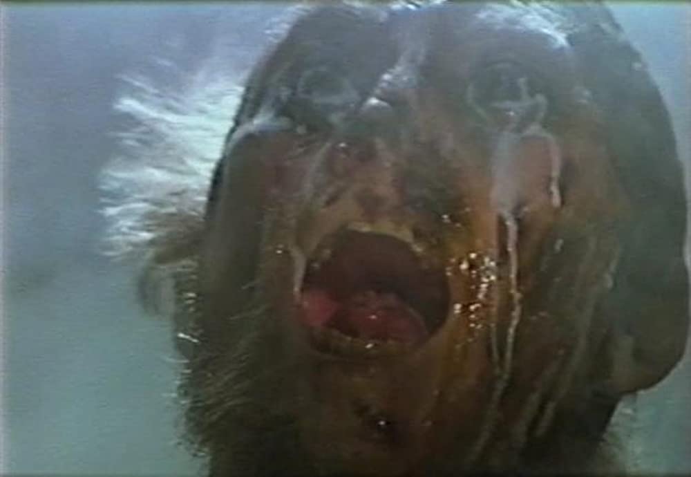 スウィートホームの画像