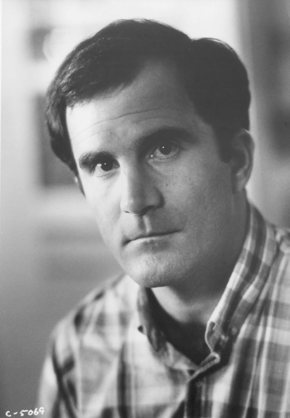 ダリル／秘められた巨大な謎を追っての画像