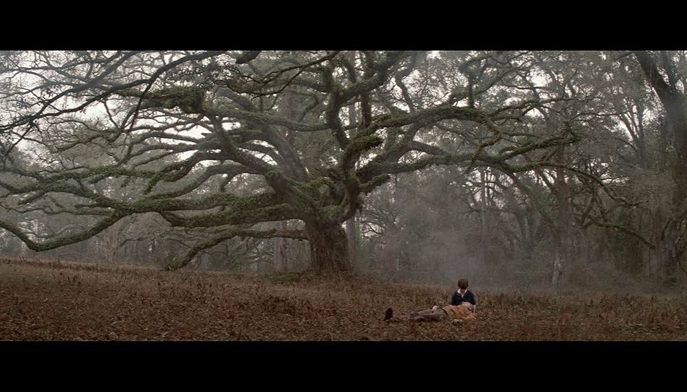 ダリル／秘められた巨大な謎を追っての画像