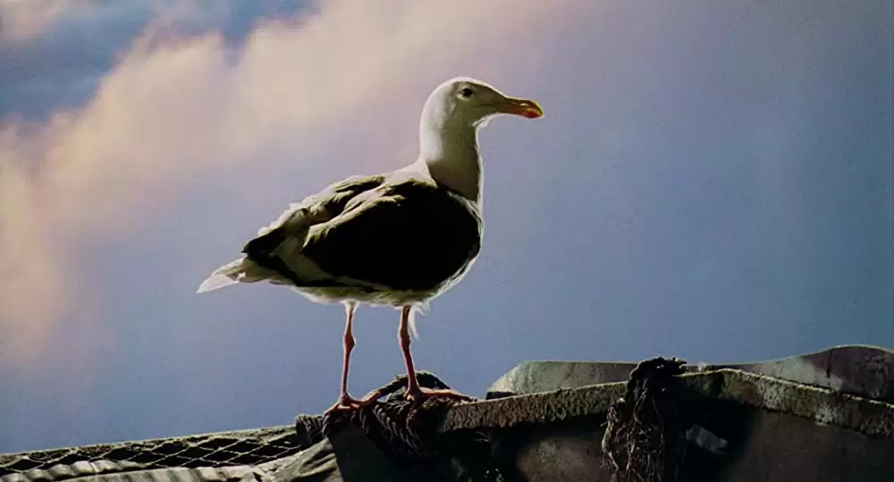 ウォーターワールド エクステンデッド・バージョンの画像