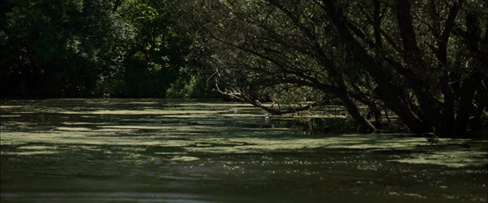 テレーズ 情欲に溺れての画像