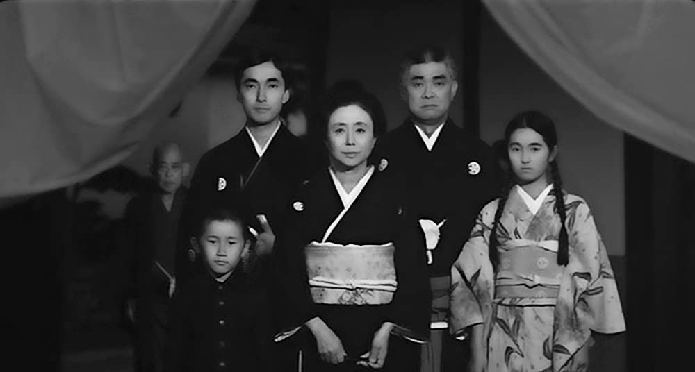 「落葉樹」の画像
