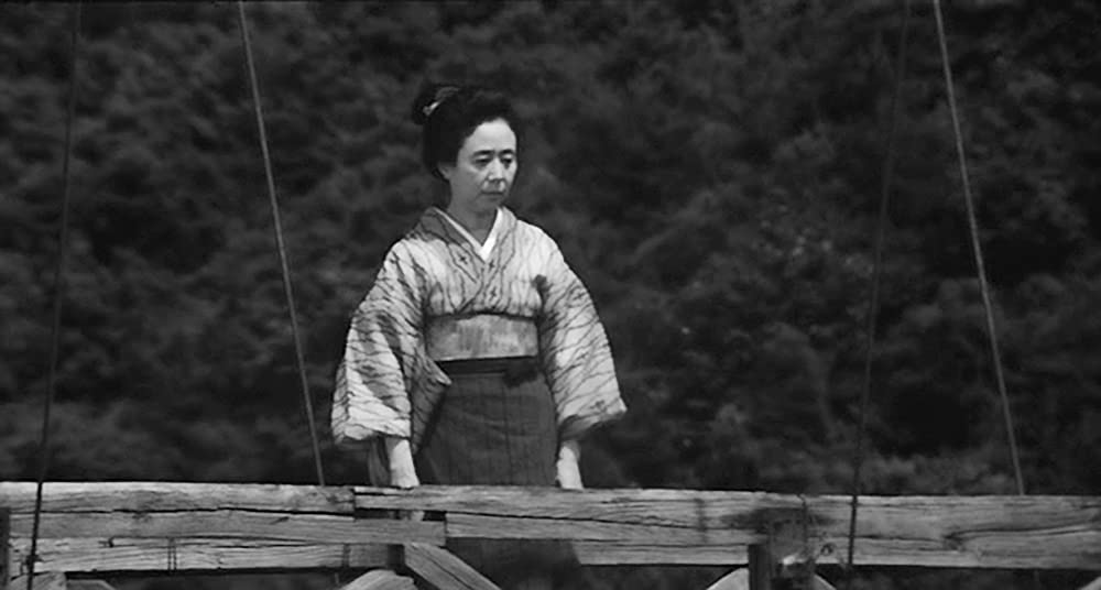 「落葉樹」の画像