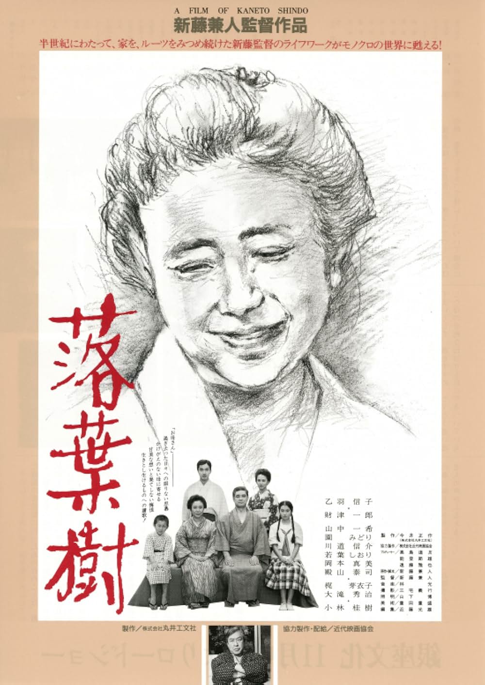 「落葉樹」の画像