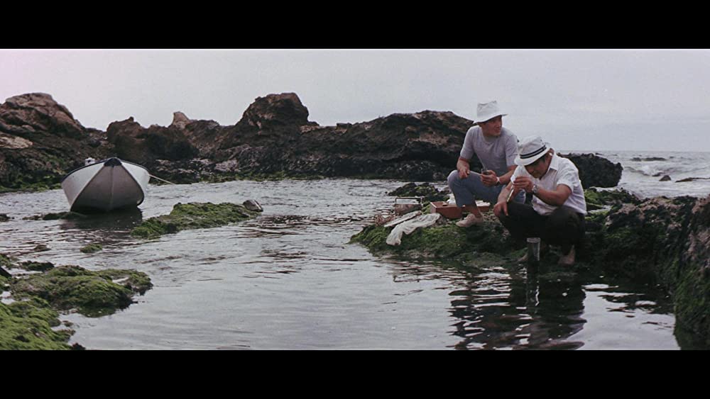 ガメラ対深海怪獣ジグラの画像