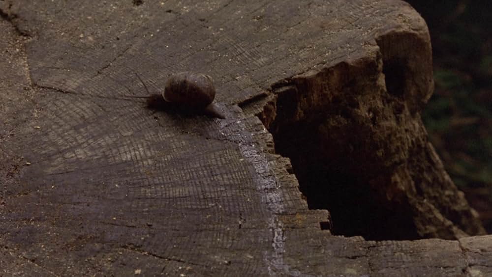 愛と野望のナイルの画像