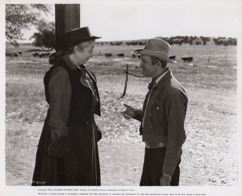 ララミーから来た男の画像