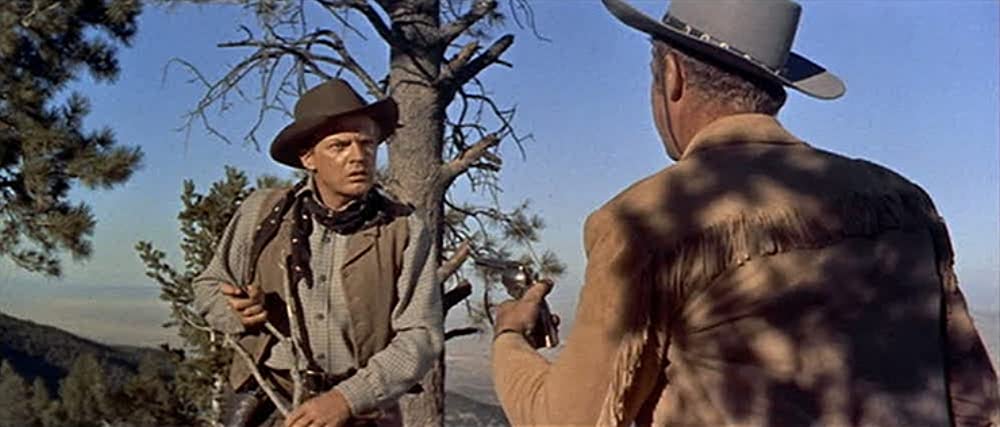 ララミーから来た男の画像