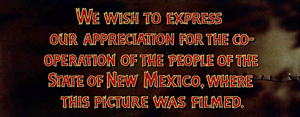 ララミーから来た男の画像