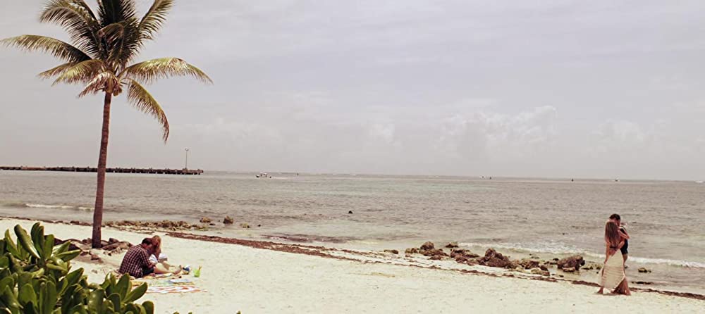 ザ・トレジャー・ハンティング 古代マヤの秘宝と白い魔女の呪いの画像