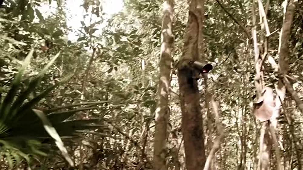 ザ・トレジャー・ハンティング 古代マヤの秘宝と白い魔女の呪いの画像