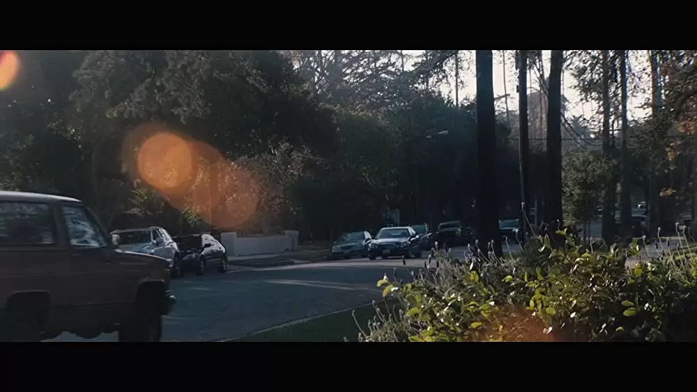 ザ・ウェイバックの画像