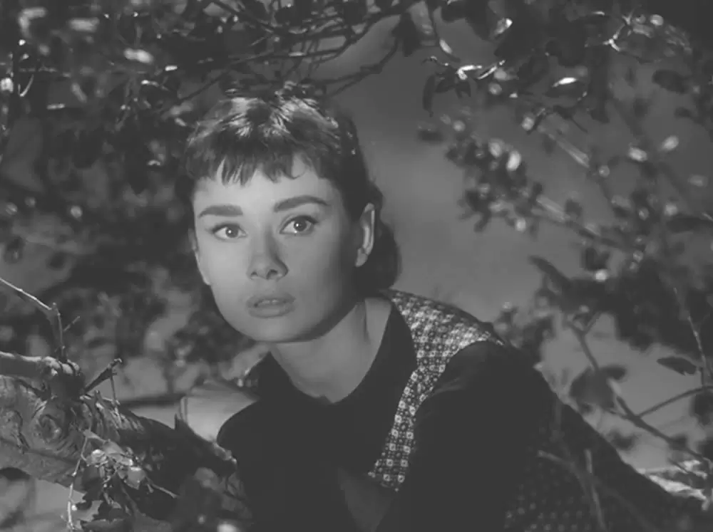 麗しのサブリナの画像