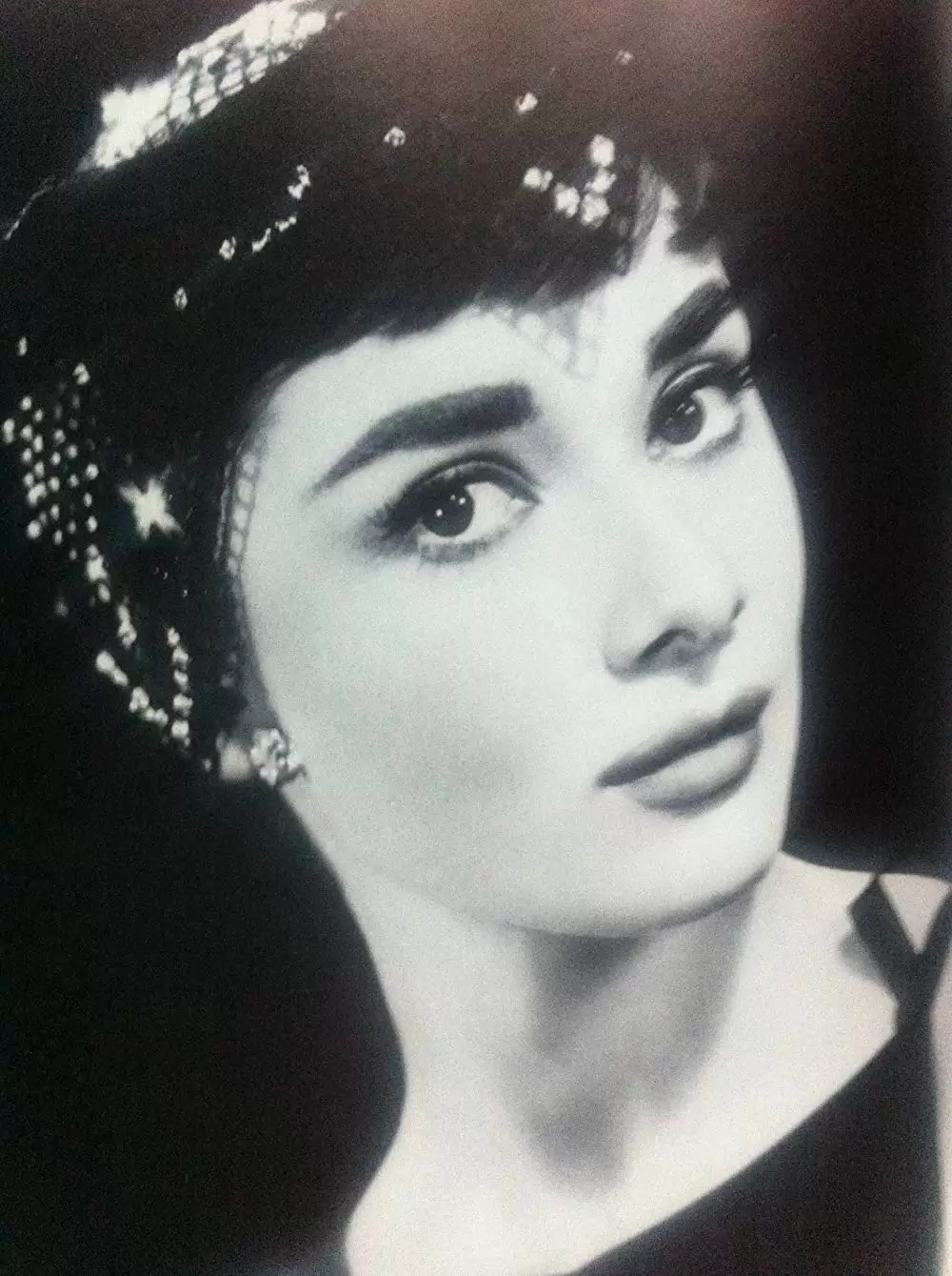 麗しのサブリナの画像