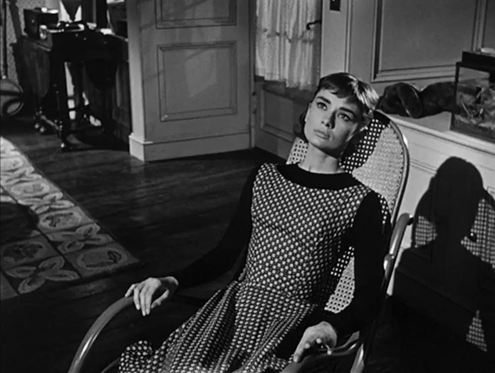 麗しのサブリナの画像