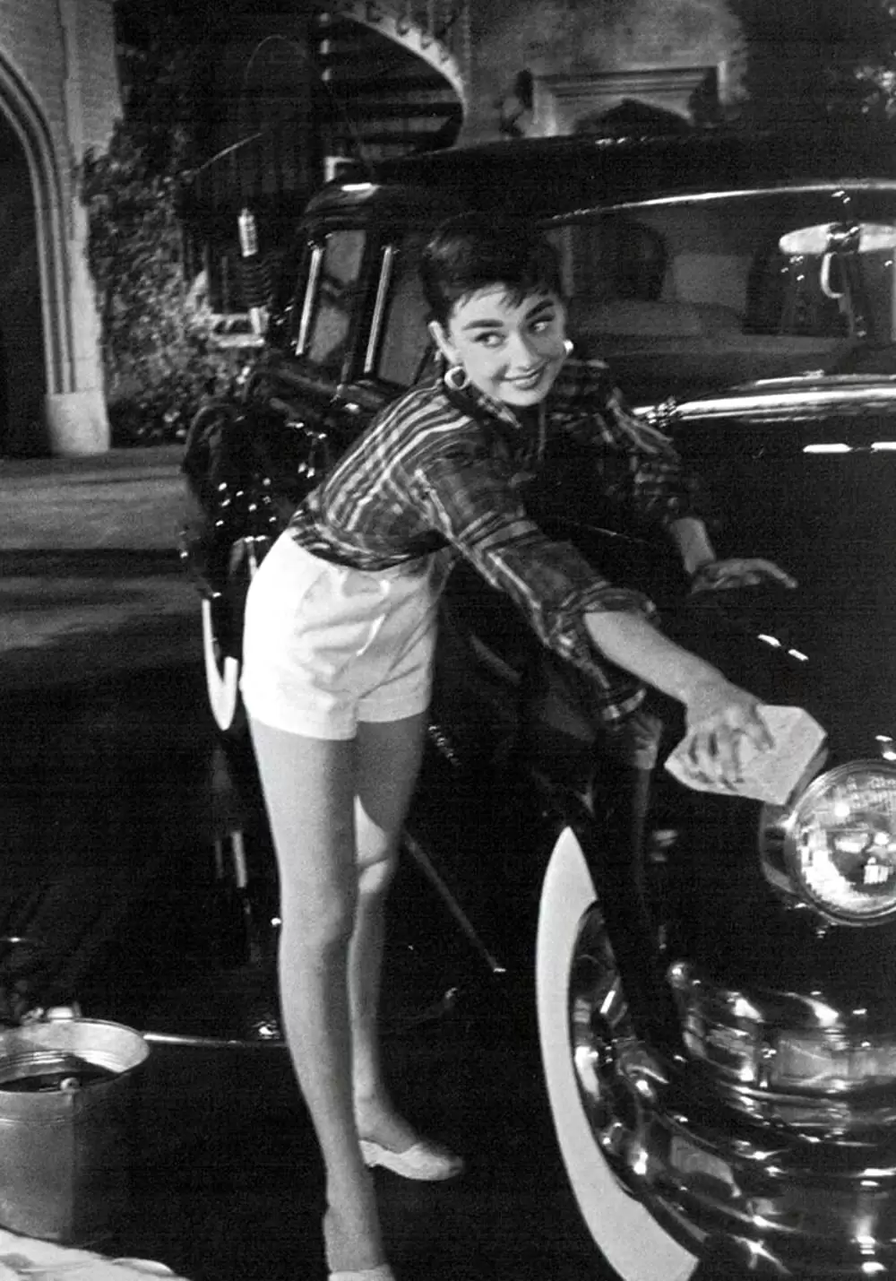 麗しのサブリナの画像