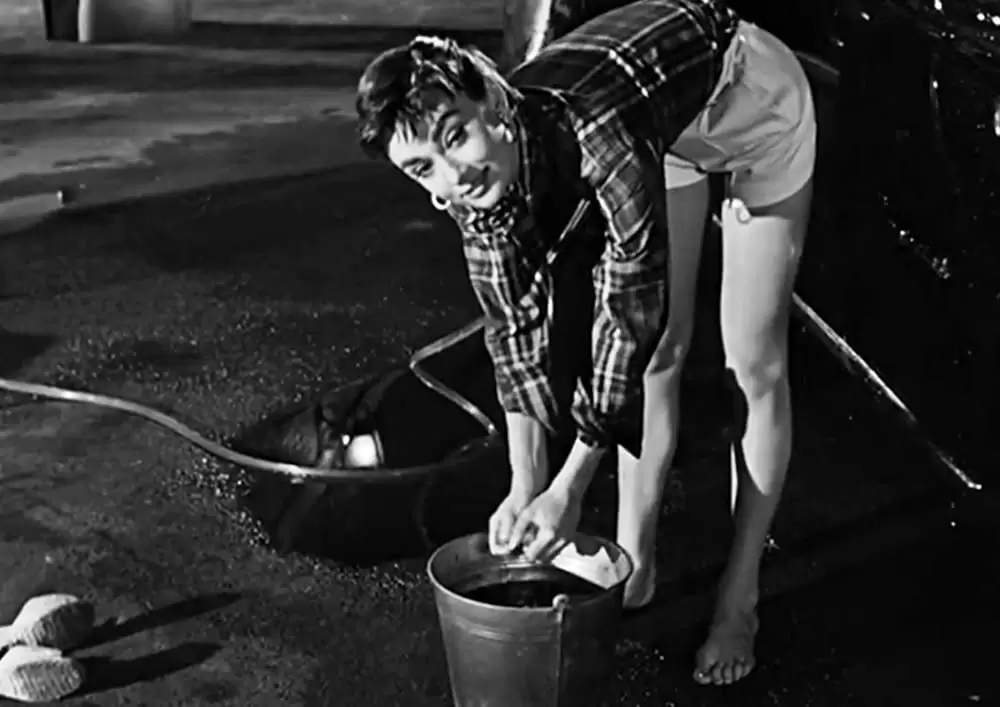 麗しのサブリナの画像