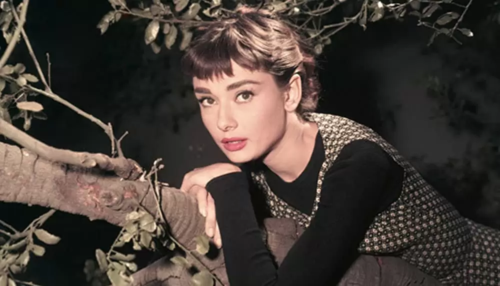 麗しのサブリナの画像