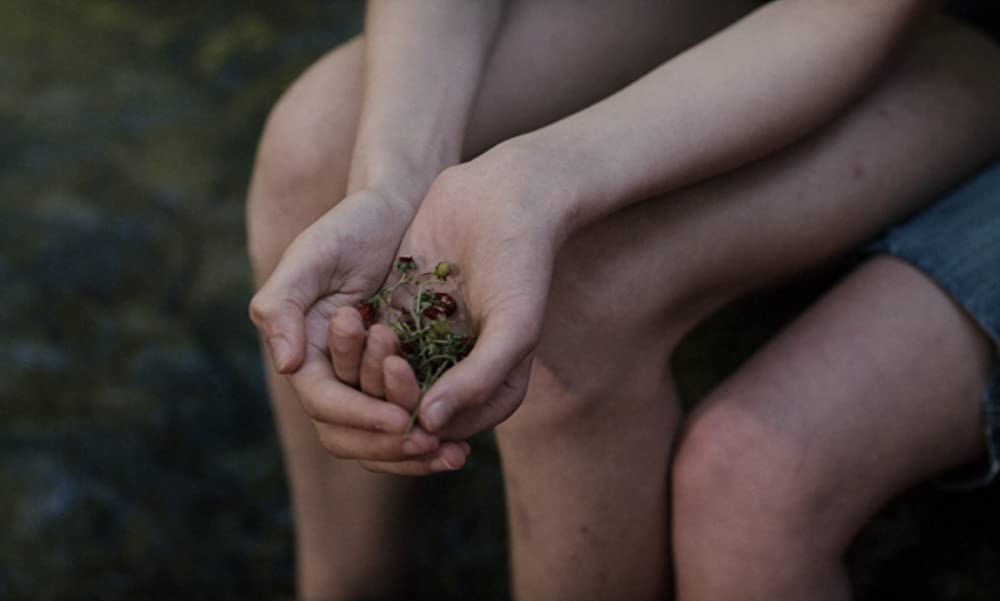 家にはいたけれどの画像