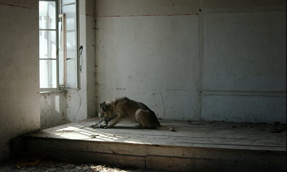 家にはいたけれどの画像