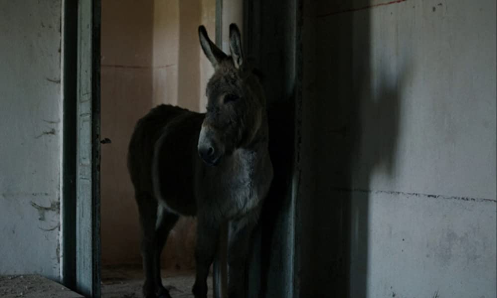 家にはいたけれどの画像