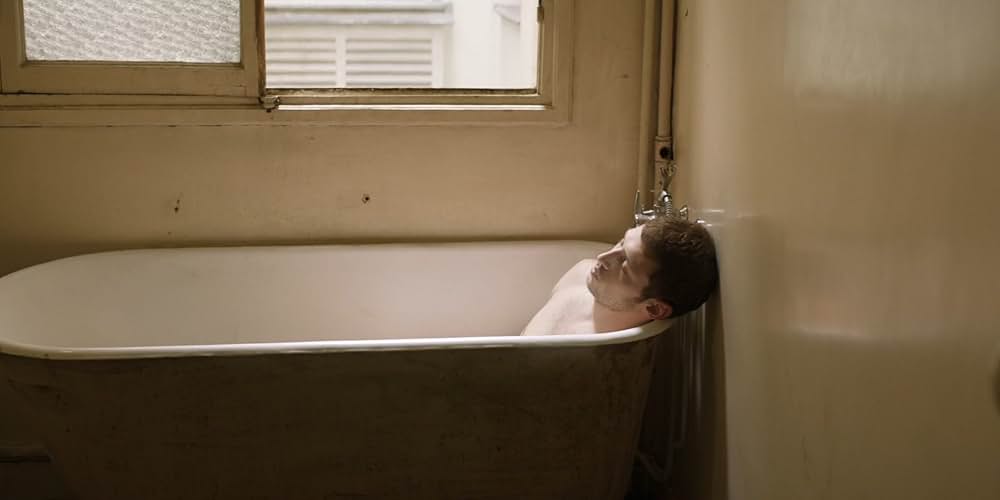 シノニムズの画像