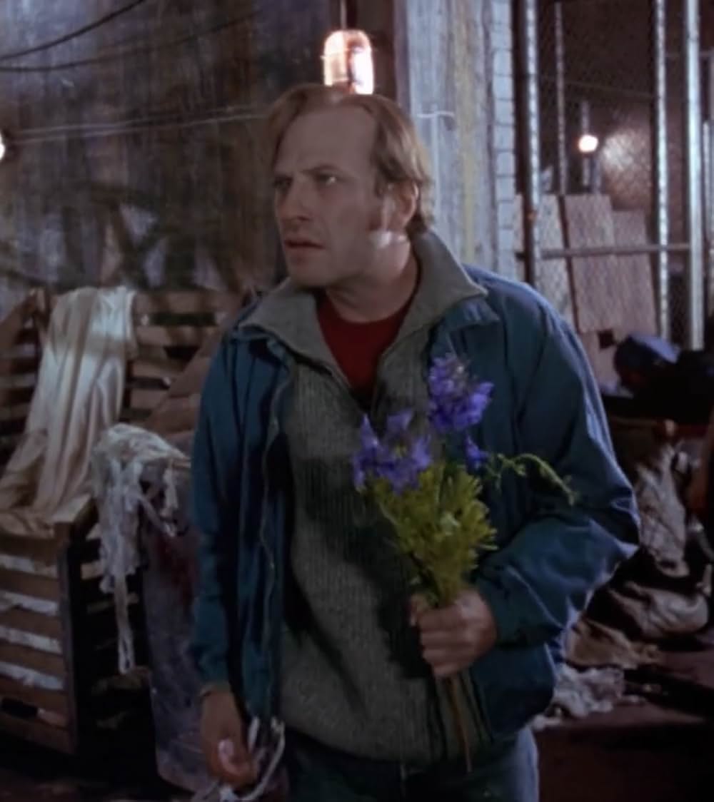 マングラーの画像