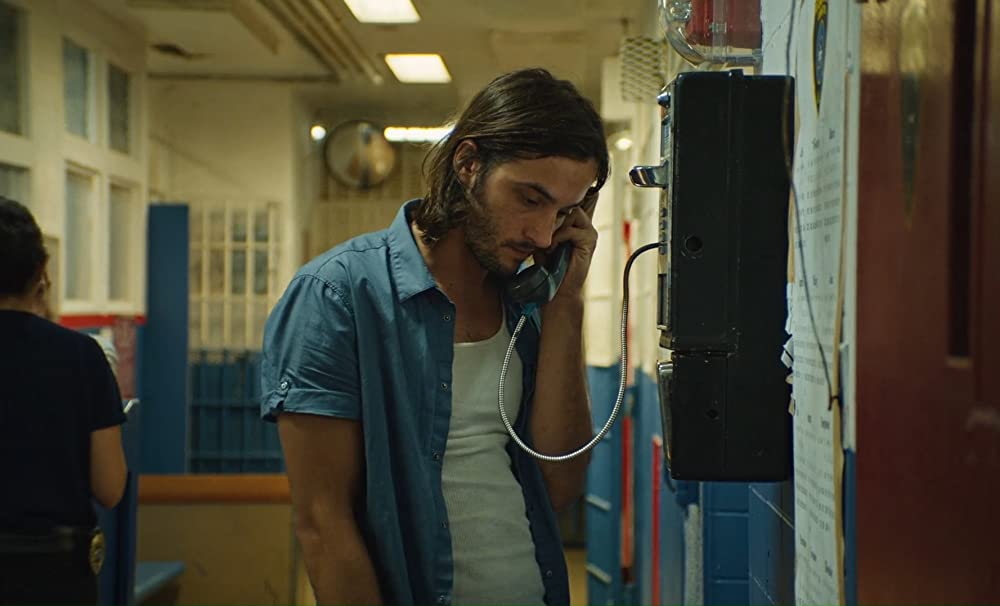 浮き草たちの画像