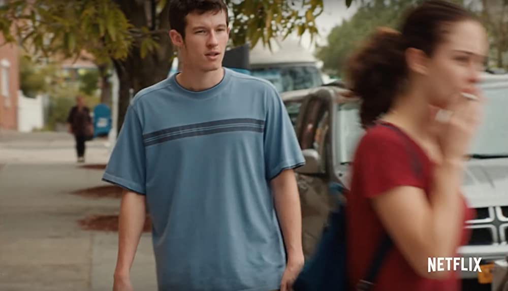 浮き草たちの画像