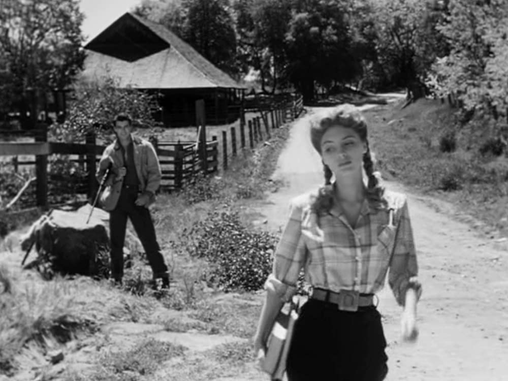 「赤い家」ロリー・カルホーン & ジュリー・ロンドンの画像