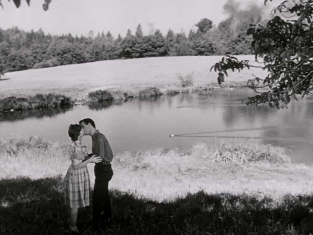 「赤い家」ロン・マカリスター & アレン・ロバーツの画像