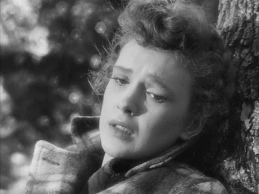 「赤い家」アレン・ロバーツの画像